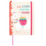 Llama A5 Notebook