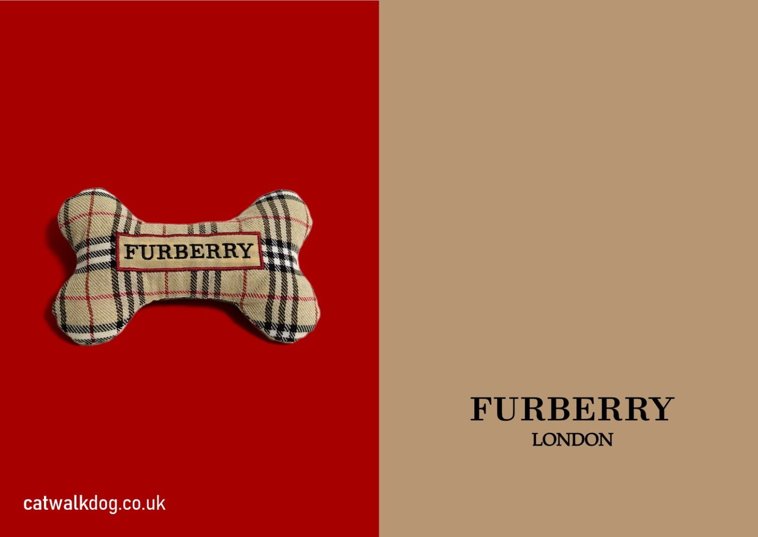 Burberry bone on Red background