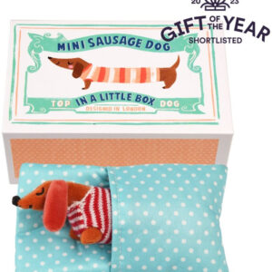 Little toy sausage dog in a box