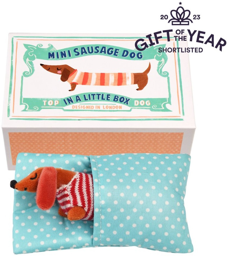 Little toy sausage dog in a box
